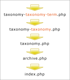 taxonomy templates
